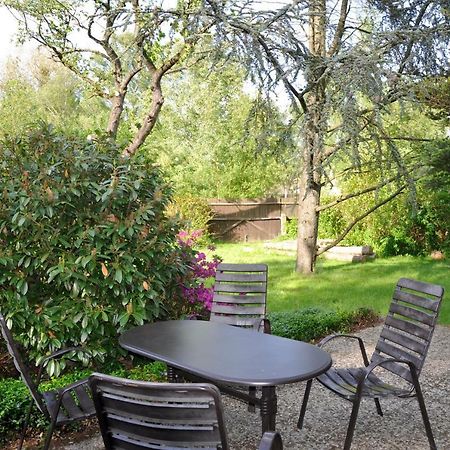 Ferienwohnung Am Foersterteich Hagenburg Buitenkant foto